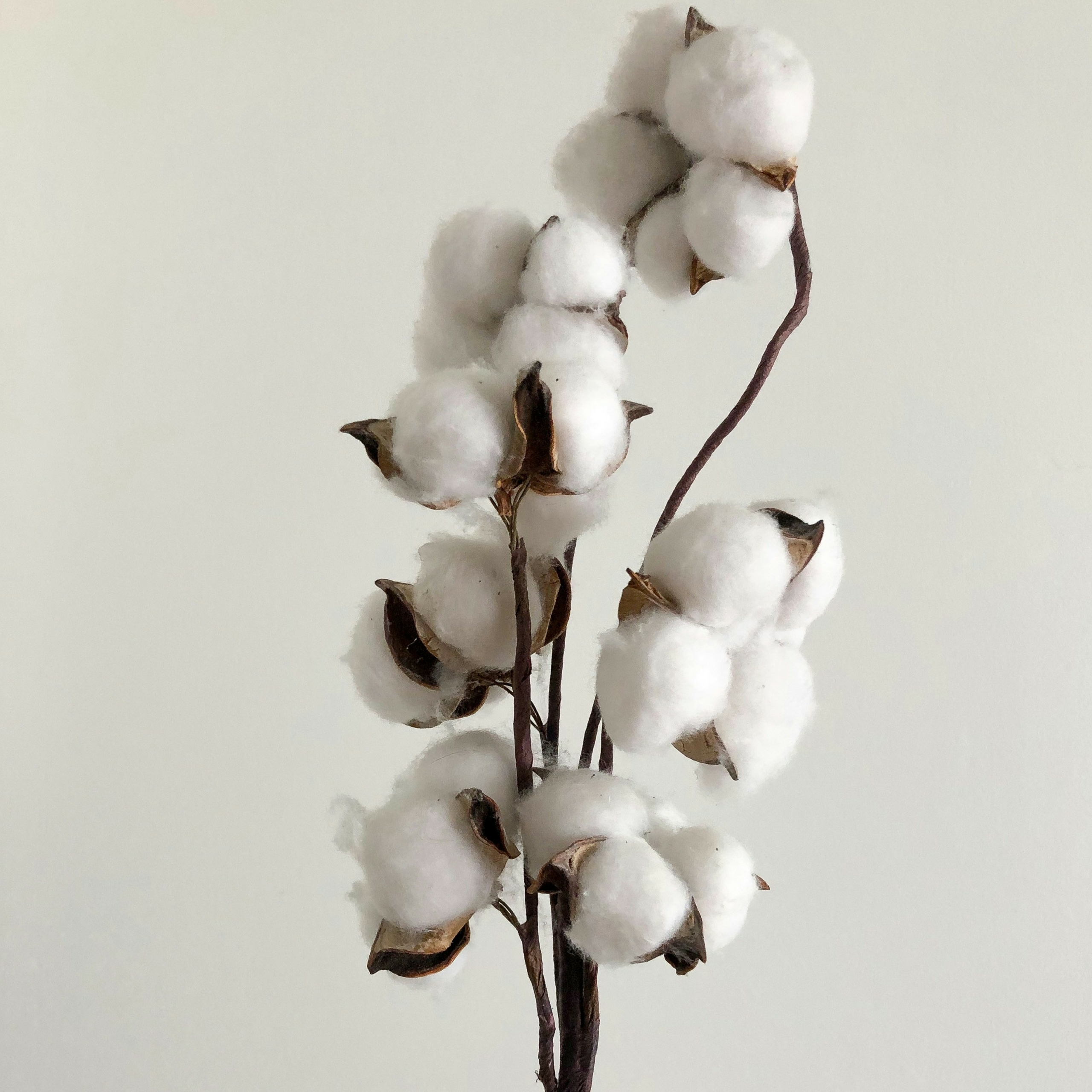 Pourquoi être très sensible est une force précieuse